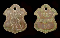 Dog Tag, Hunting License, 1893!